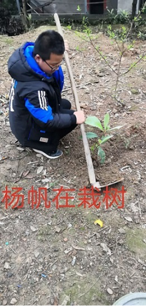 衡陽(yáng)市蒸湘區(qū)仁愛(ài)實(shí)驗(yàn)中學(xué)|衡陽(yáng)全日制|全寄宿|全封閉|半月假制初級(jí)中學(xué) 衡陽(yáng)市蒸湘區(qū)仁愛(ài)實(shí)驗(yàn)中學(xué)|衡陽(yáng)全日制|全寄宿|全封閉|半月假制初級(jí)中學(xué)
