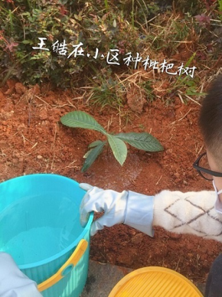 衡陽(yáng)市蒸湘區(qū)仁愛(ài)實(shí)驗(yàn)中學(xué)|衡陽(yáng)全日制|全寄宿|全封閉|半月假制初級(jí)中學(xué) 衡陽(yáng)市蒸湘區(qū)仁愛(ài)實(shí)驗(yàn)中學(xué)|衡陽(yáng)全日制|全寄宿|全封閉|半月假制初級(jí)中學(xué)
