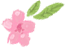 衡陽市蒸湘區(qū)仁愛實(shí)驗(yàn)中學(xué)|衡陽全日制|全寄宿|全封閉|半月假制初級中學(xué) 衡陽市蒸湘區(qū)仁愛實(shí)驗(yàn)中學(xué)|衡陽全日制|全寄宿|全封閉|半月假制初級中學(xué)
